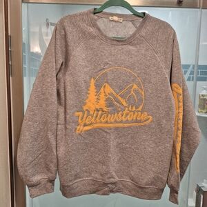 Men's Gray Sweatshirt with Gold Graphic NEVER WORN
